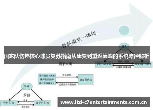 国家队伤停核心球员复苏指南从康复到重返巅峰的系统路径解析