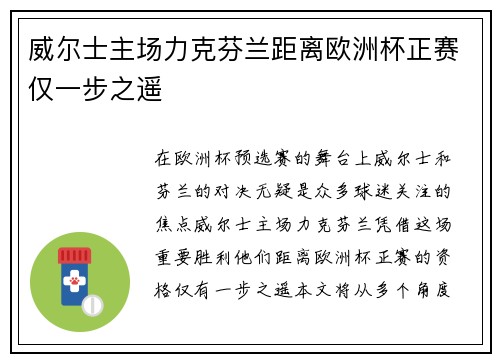 威尔士主场力克芬兰距离欧洲杯正赛仅一步之遥